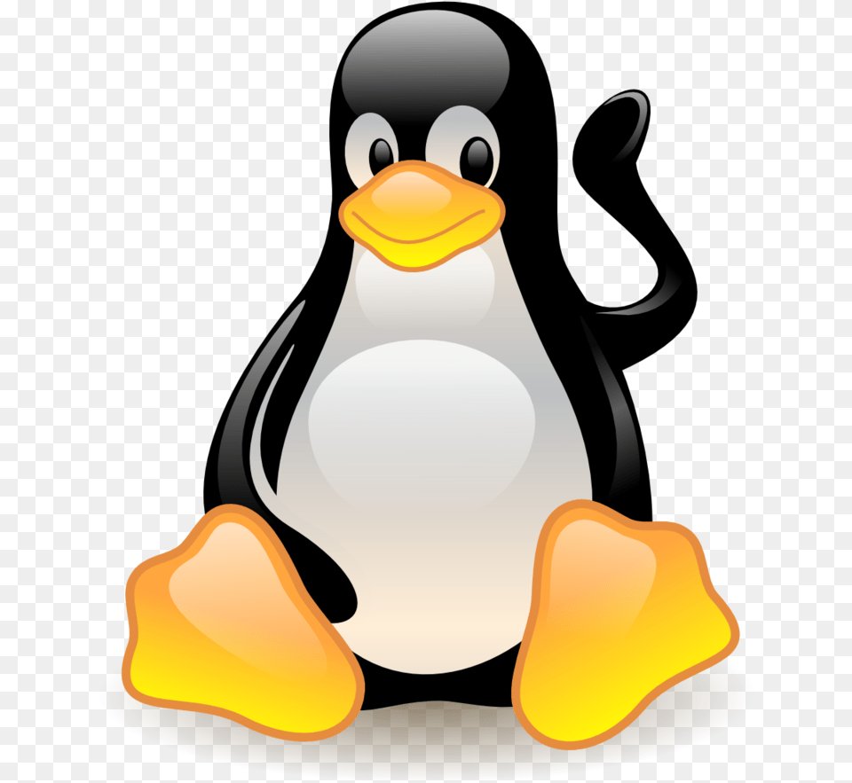 Tux Kernel Operating Systems Linux Distribution Betriebssysteme Linux, Animal, Bird, Penguin, Nature Free Png