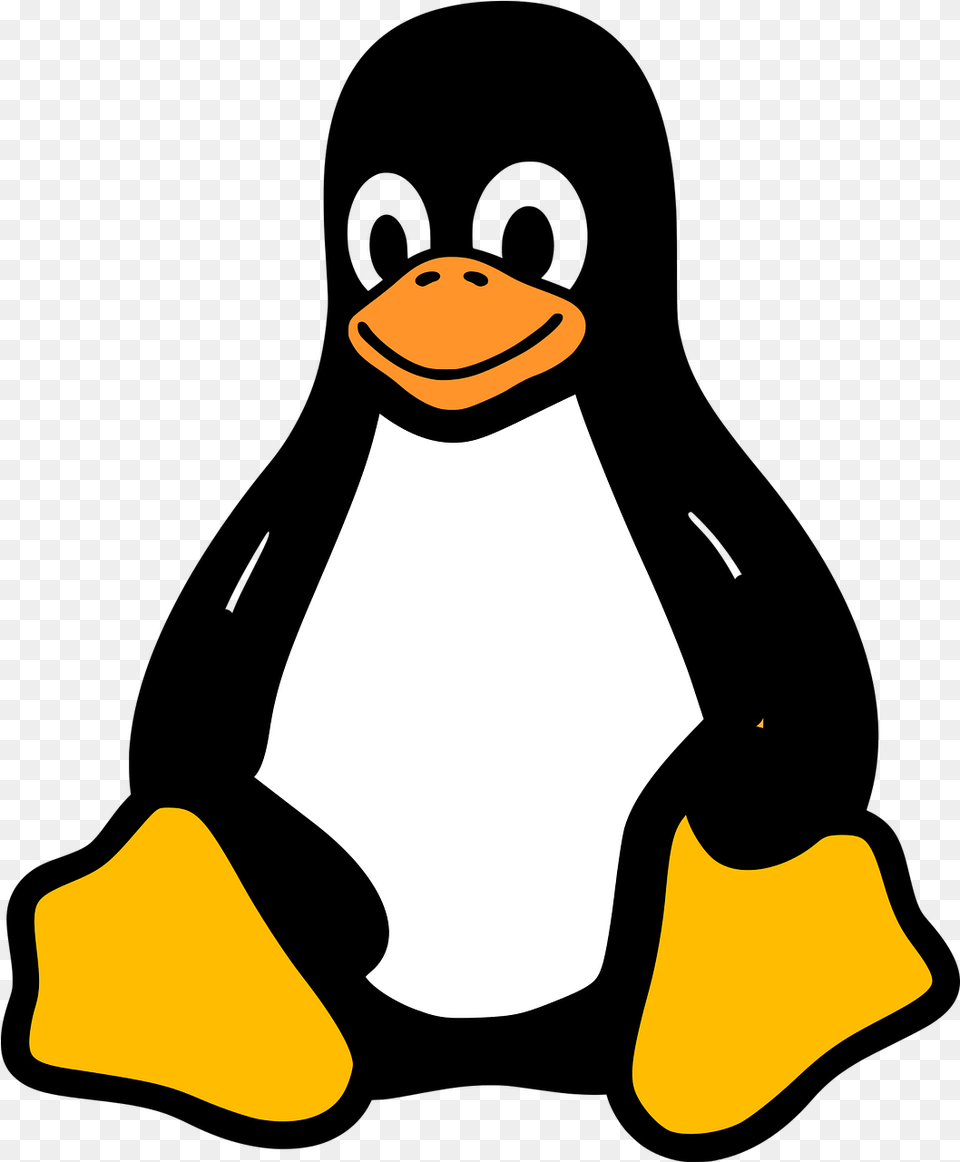 Tux Kernel Racer Penguins Linux Penguin Linux, Animal, Bird Free Transparent Png