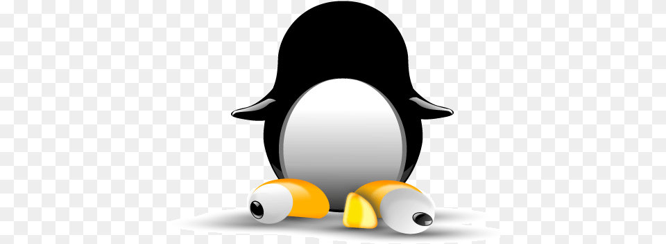 Tux Mr Patate Emperor Penguin, Animal, Bird, King Penguin Free Png Download
