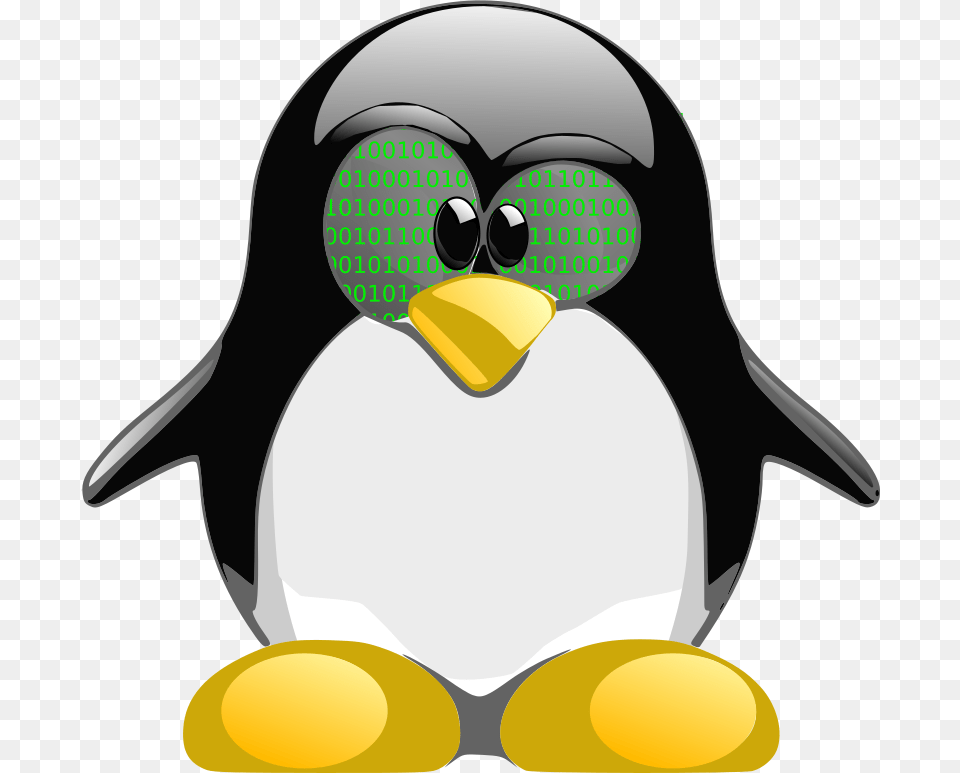 Tux Nerd Icon Linux Mint Pinguin, Animal, Bird, Penguin Free Png