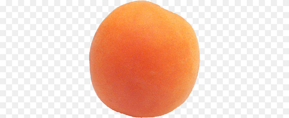 Tux Paint Stamp Browser Food All Valencia Orange, Produce, Plant, Fruit, Apricot Free Transparent Png