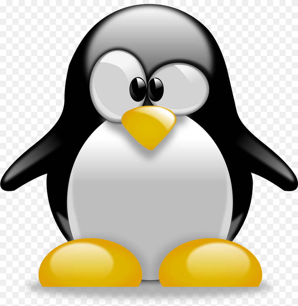 Tux Penguin Animal Vector Graphic On Pixabay Cute Tux Penguin, Bird, Clothing, Hardhat, Helmet Free Transparent Png