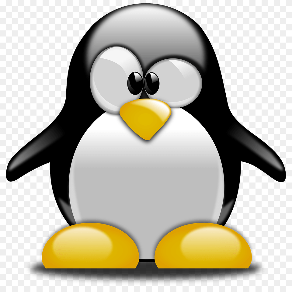 Tux Penguin Character Base Clipart, Animal, Bird, Nature, Outdoors Free Png