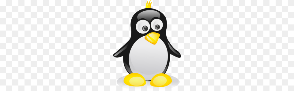 Tux Penguin Clip Art, Animal, Bird, Nature, Outdoors Free Png