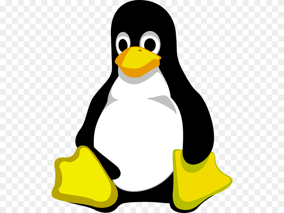 Tux Penguin Linux Animal Cute Comic Cartoon Logo De Linux, Nature, Outdoors, Snow, Snowman Png Image