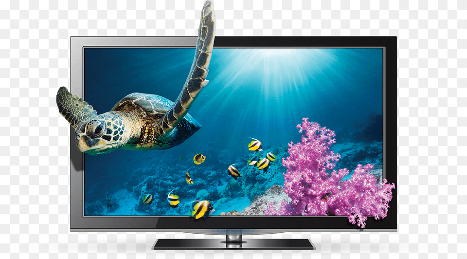 Tv 3d Background, Screen, Monitor, Hardware, Electronics Png Image