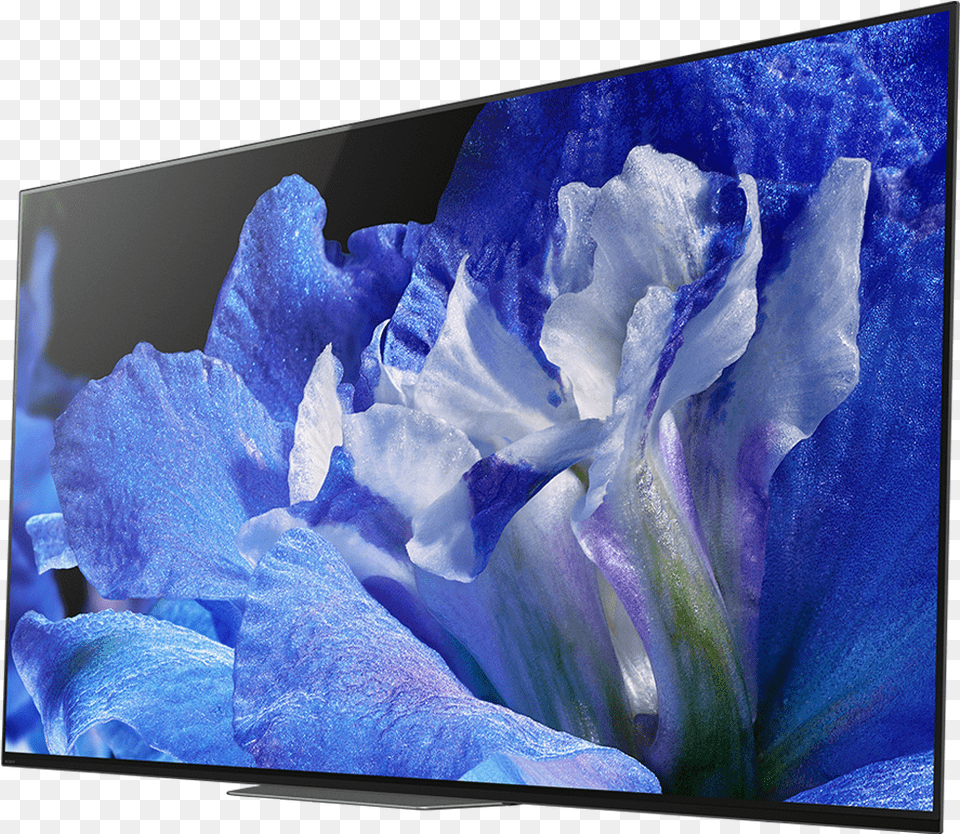 Tv 55 Sony Oled, Iris, Plant, Flower, Geranium Free Transparent Png