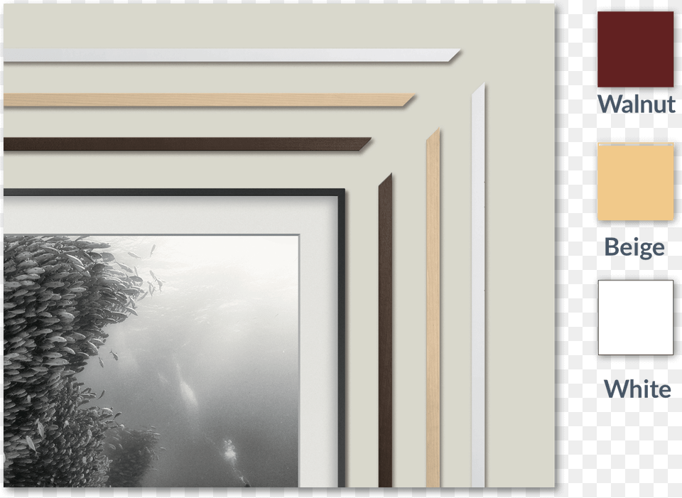 Tv Frame Samsung Frame Tv Frames, Indoors, Interior Design, Nature, Outdoors Free Transparent Png