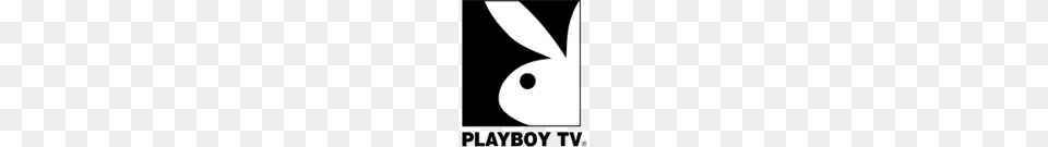 Tv Schedule For Playboy Hd Tv Passport, Animal, Mammal, Rabbit Png