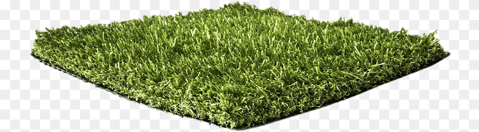 Twd Elite Kunstgras Mat, Grass, Home Decor, Moss, Plant Free Transparent Png