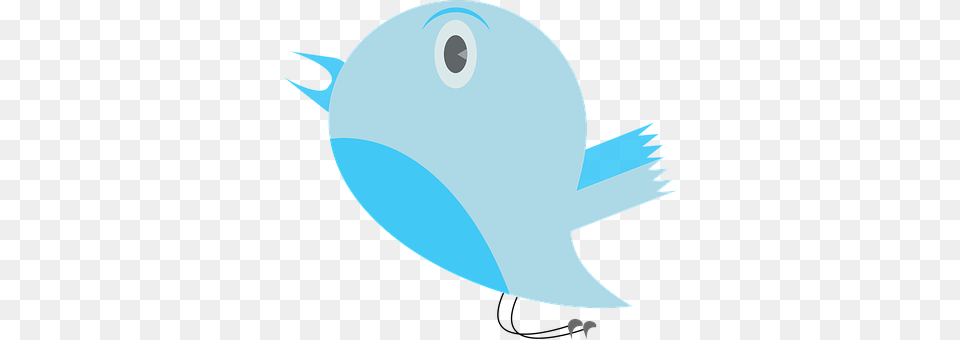 Tweet Animal, Disk, Sea Life, Fish Png