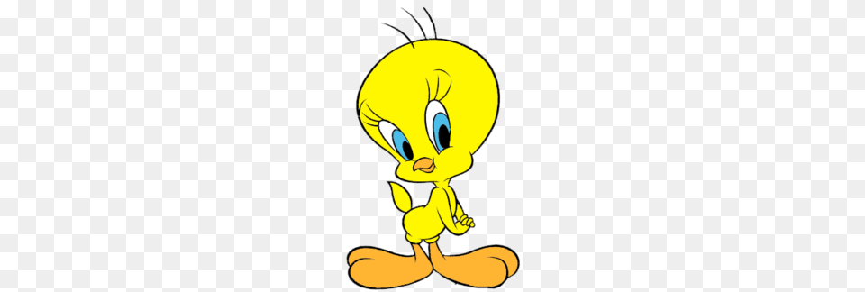 Tweety Bird, Animal, Bee, Insect, Invertebrate Free Transparent Png