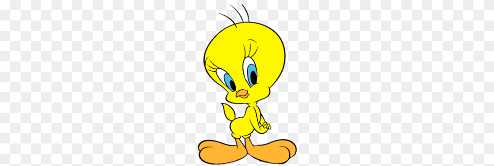 Tweety Bird The Parody Wiki Fandom Powered By Wikia, Animal, Bee, Insect, Invertebrate Free Png