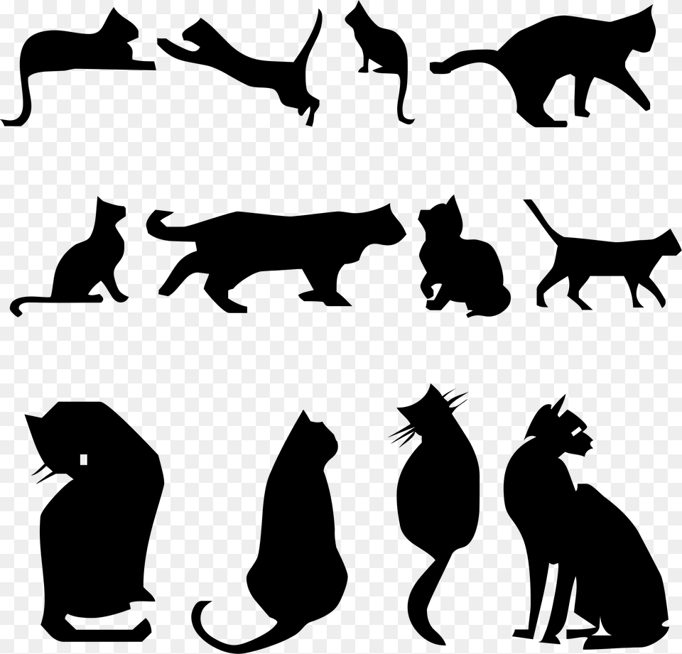 Twelve Stylized Cats Silhouettes Clip Arts Silhouette Cat Kitten Clipart, Gray Free Png