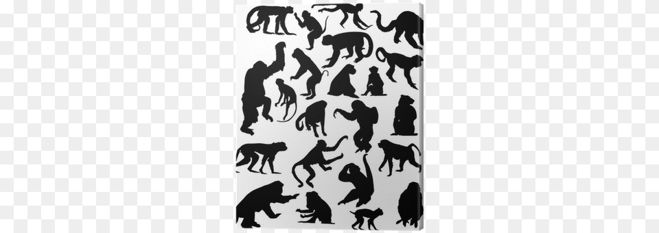 Twenty Two Black Isolated Monkey Silhouettes Canvas Monkey Silhouette Two, Stencil, Adult, Wildlife, Person Png