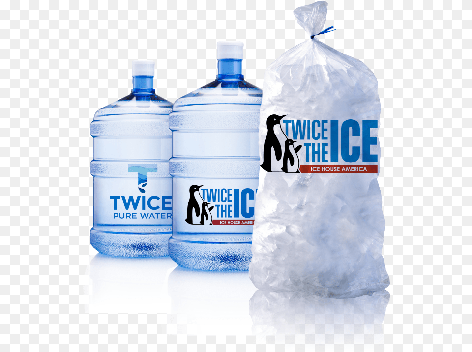 Twice The Ice, Bottle, Plastic, Animal, Bird Png Image