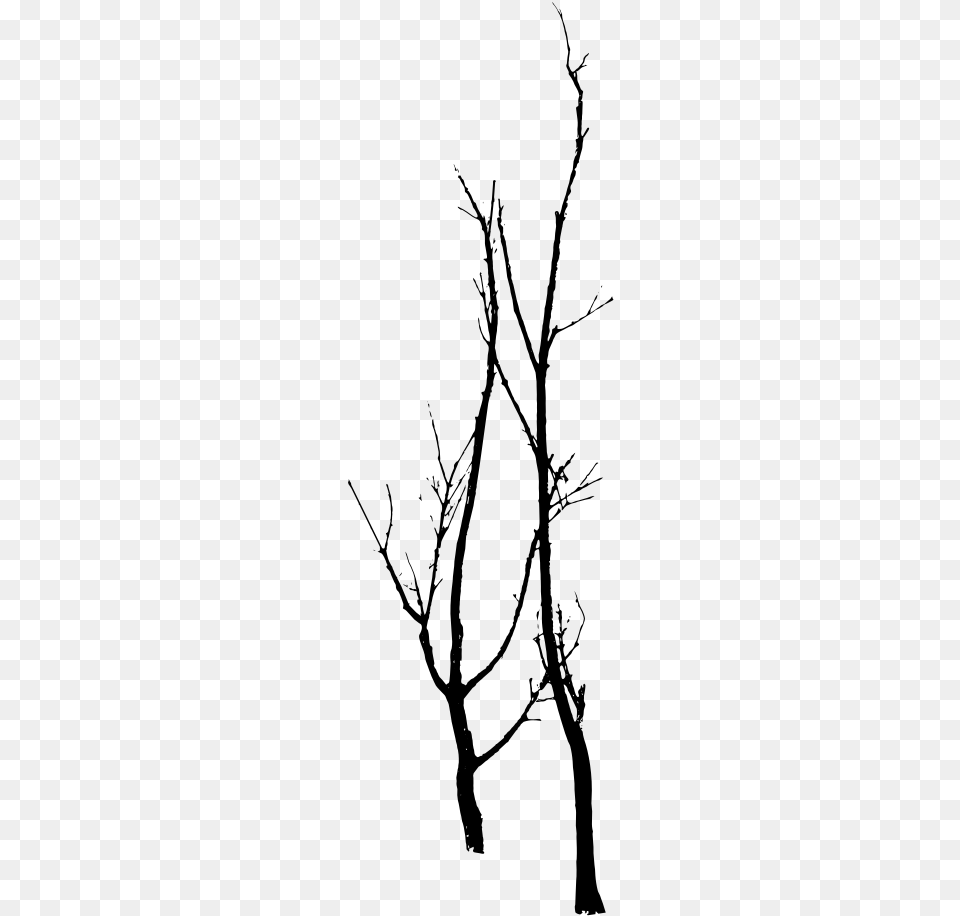 Twig, Gray Free Transparent Png