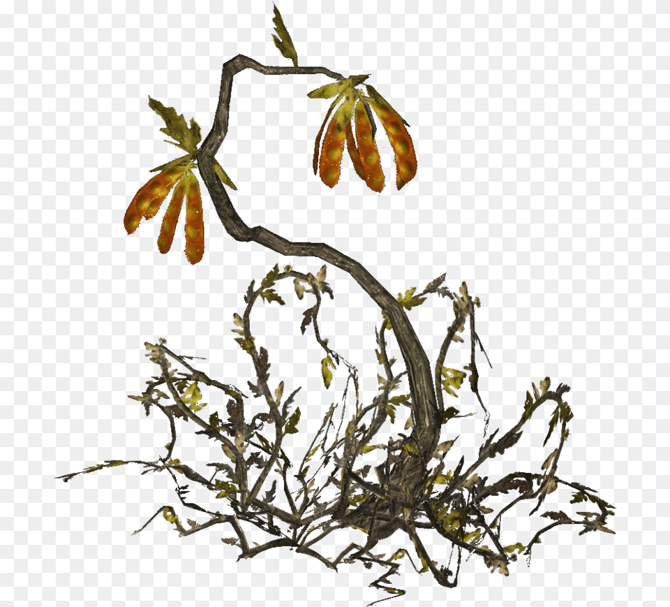 Twig, Flower, Flower Arrangement, Leaf, Plant Free Png Download