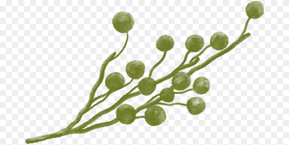 Twig, Sprout, Bud, Plant, Flower Free Transparent Png