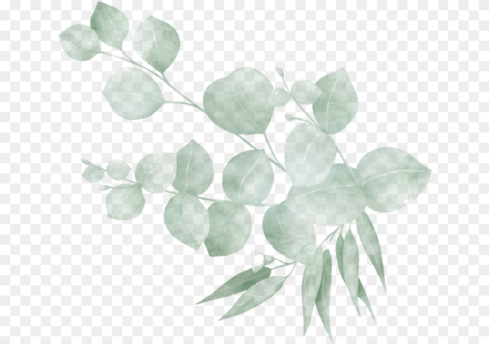 Twig, Plant, Leaf, Art, Vine Png