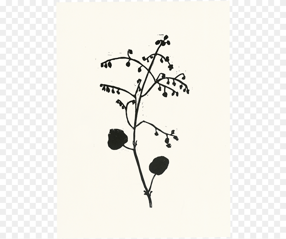 Twig, Silhouette, Art, Drawing, Leaf Free Png Download