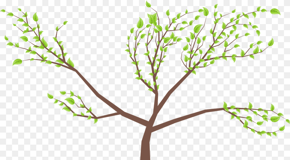 Twig, Leaf, Plant, Tree, Art Free Png