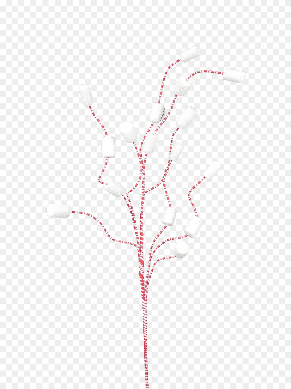 Twig, Lamp, Plant Free Png Download