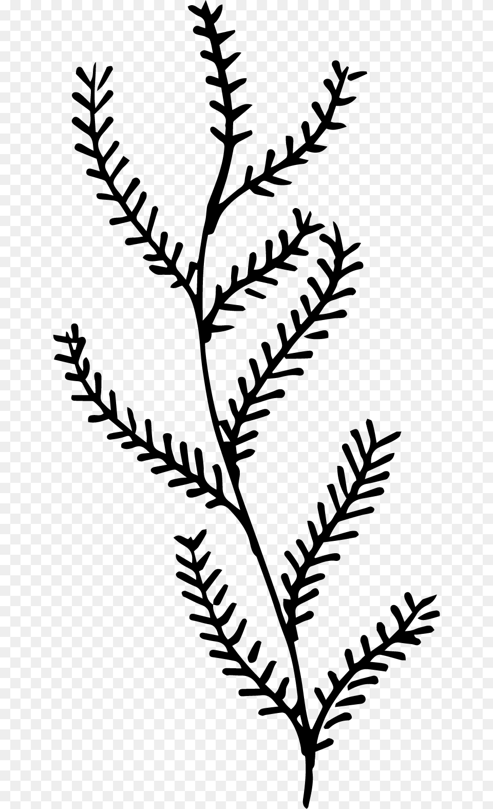 Twig, Leaf, Plant, Art, Pattern Free Png