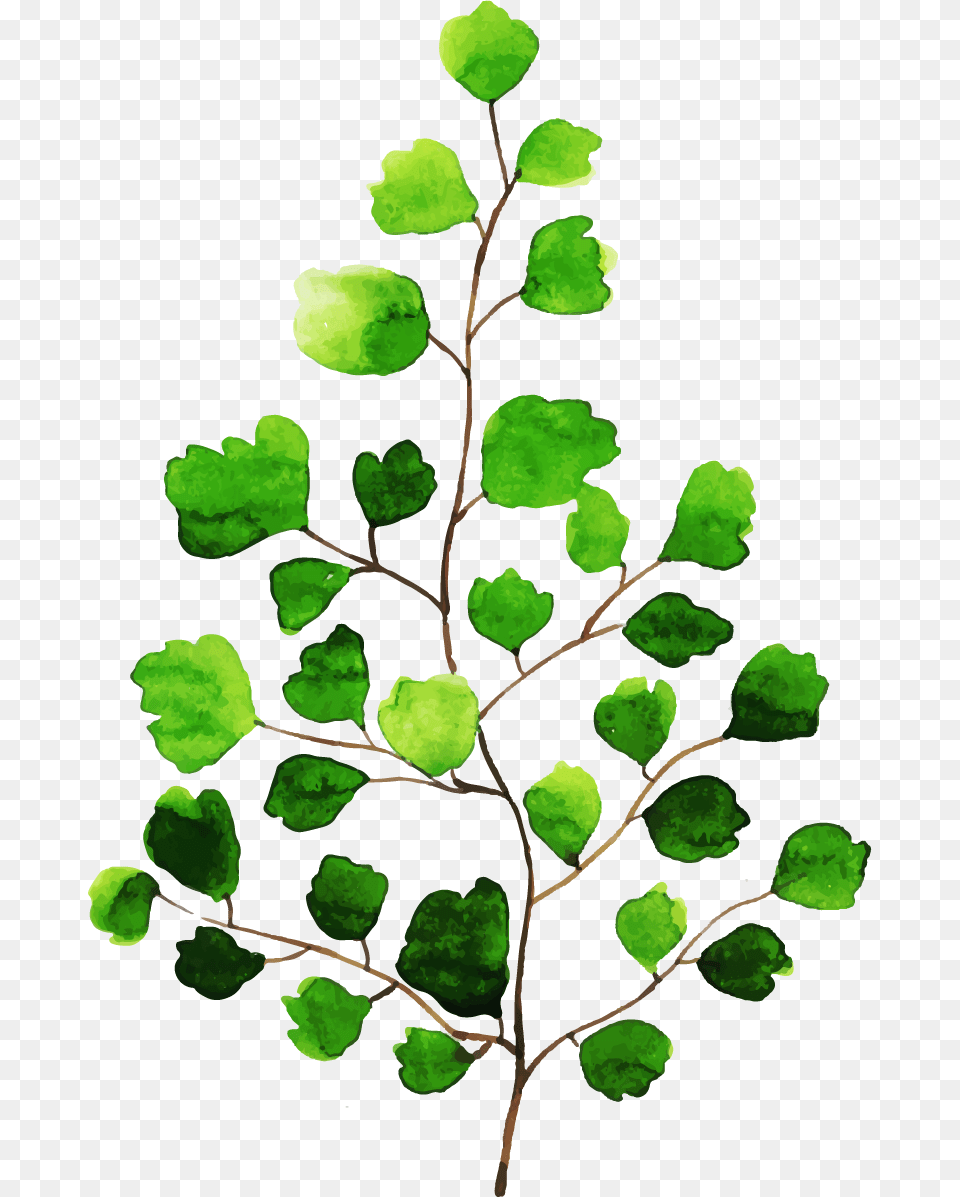 Twig, Leaf, Plant, Green Free Png Download