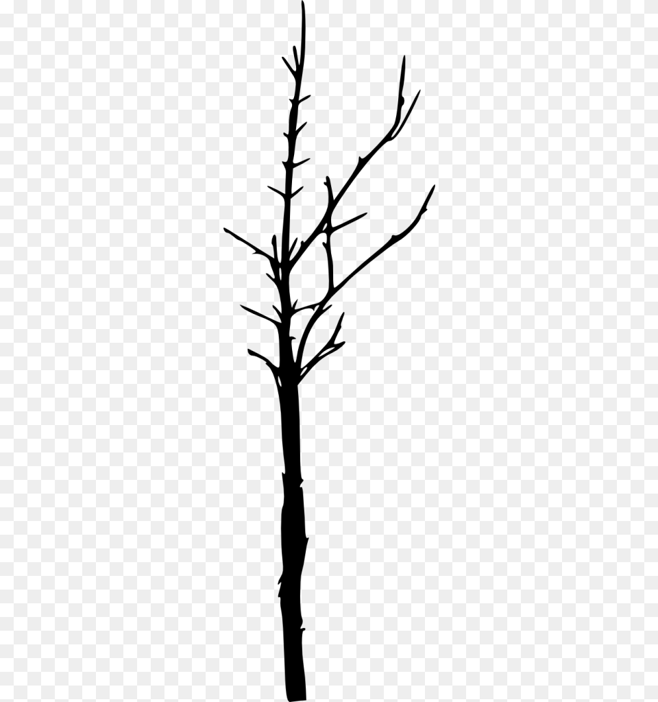Twig, Gray Free Transparent Png