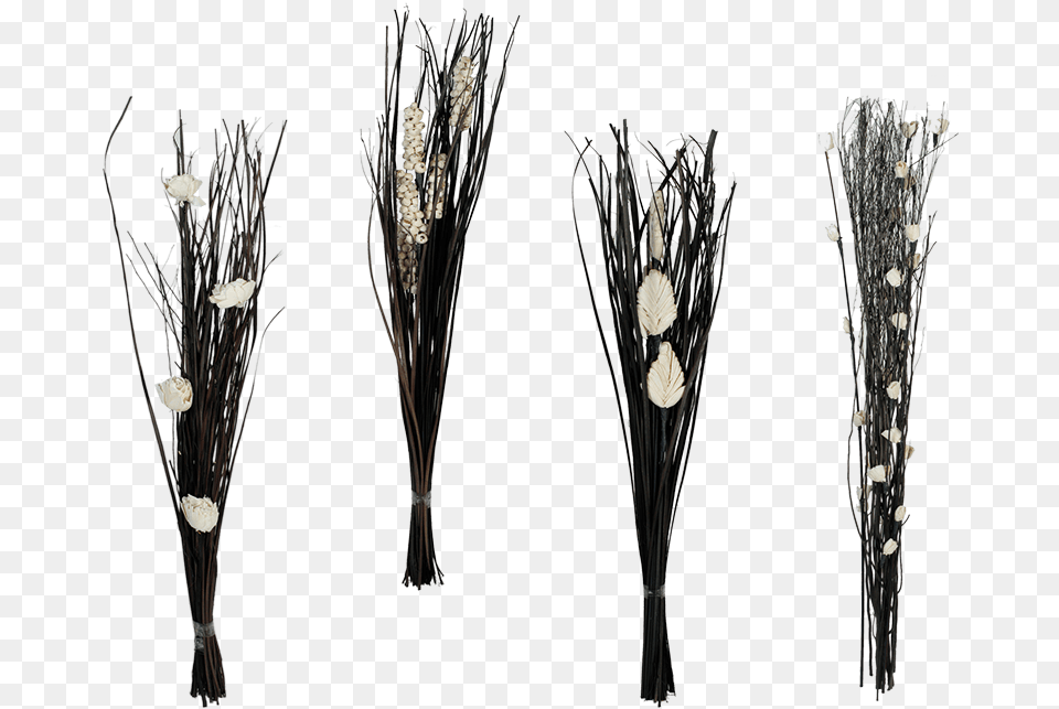 Twig, Chandelier, Lamp, Plant, Jar Png