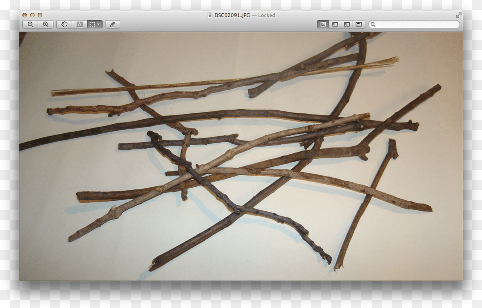 Twig, Wood, Stick, Plant Png Image