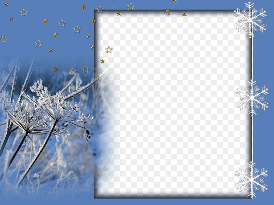 Twig, Ice, Nature, Outdoors, Weather Free Png Download