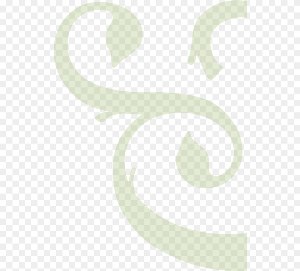 Twig Amp Vine Calligraphy Png Image