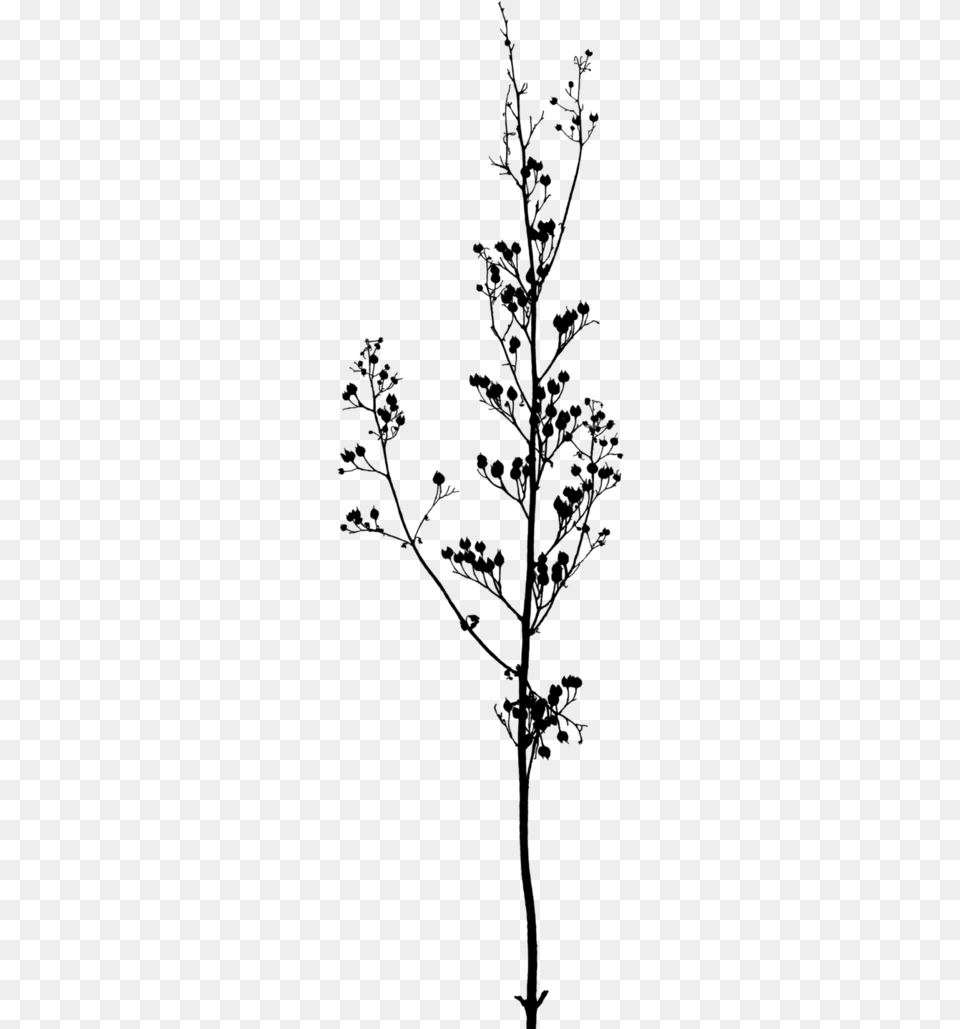 Twig Branch A Buddhist Spectrum Tree Transparent Black And White Flowers, Gray Png