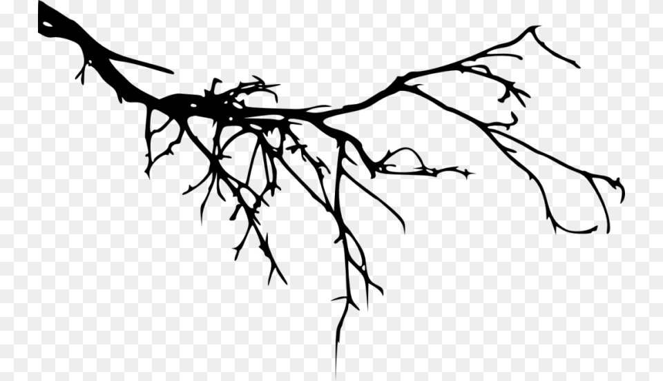 Twig Branch Silhouette Transparent Tree Branch Silhouette, Plant, Person, Root Png Image