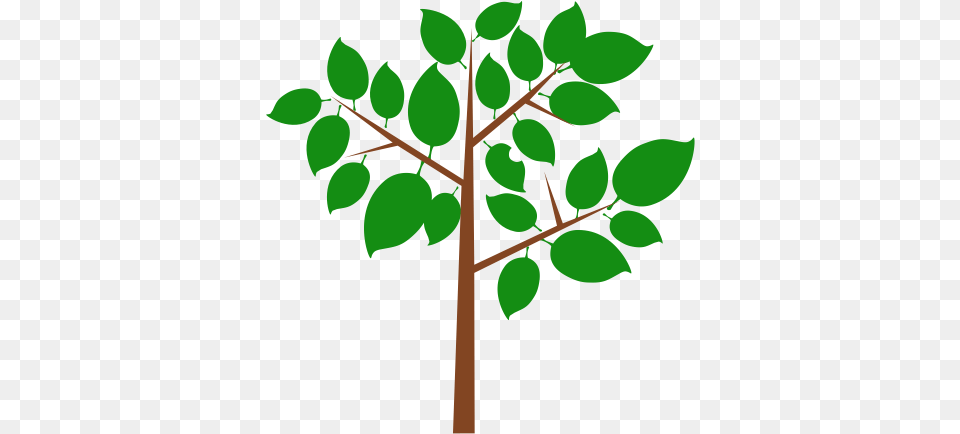 Twig Branches Tree Icon, Green, Leaf, Plant Free Png Download