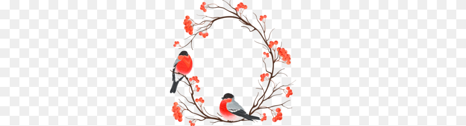 Twig Clipart, Animal, Bird, Finch, Art Free Transparent Png