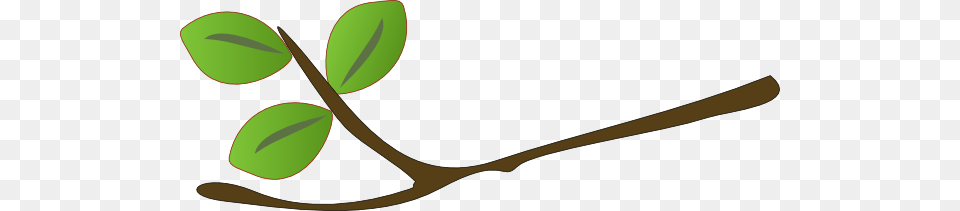 Twig Clipart, Leaf, Plant, Flower, Annonaceae Free Transparent Png