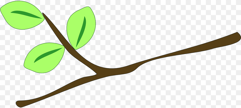 Twig Clipart, Plant, Leaf, Herbs, Bud Png Image