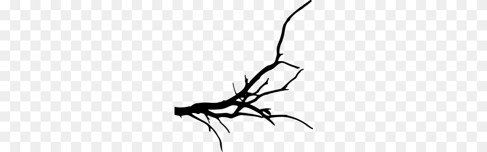 Twig Clipart Clipart, Gray Free Transparent Png