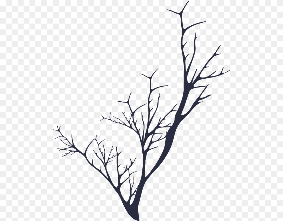Twig Clipart Download Twig, Outdoors, Ice, Nature, Art Free Transparent Png
