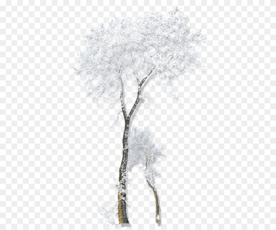 Twig Drawing Winter Belvedere Vodka Transparent Snow Tree Gif, Frost, Ice, Nature, Outdoors Free Png