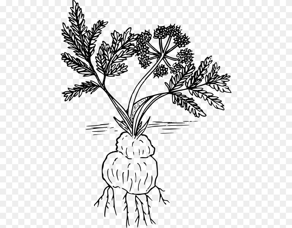 Twig Leaf Plants Tree Drawing, Gray Free Transparent Png