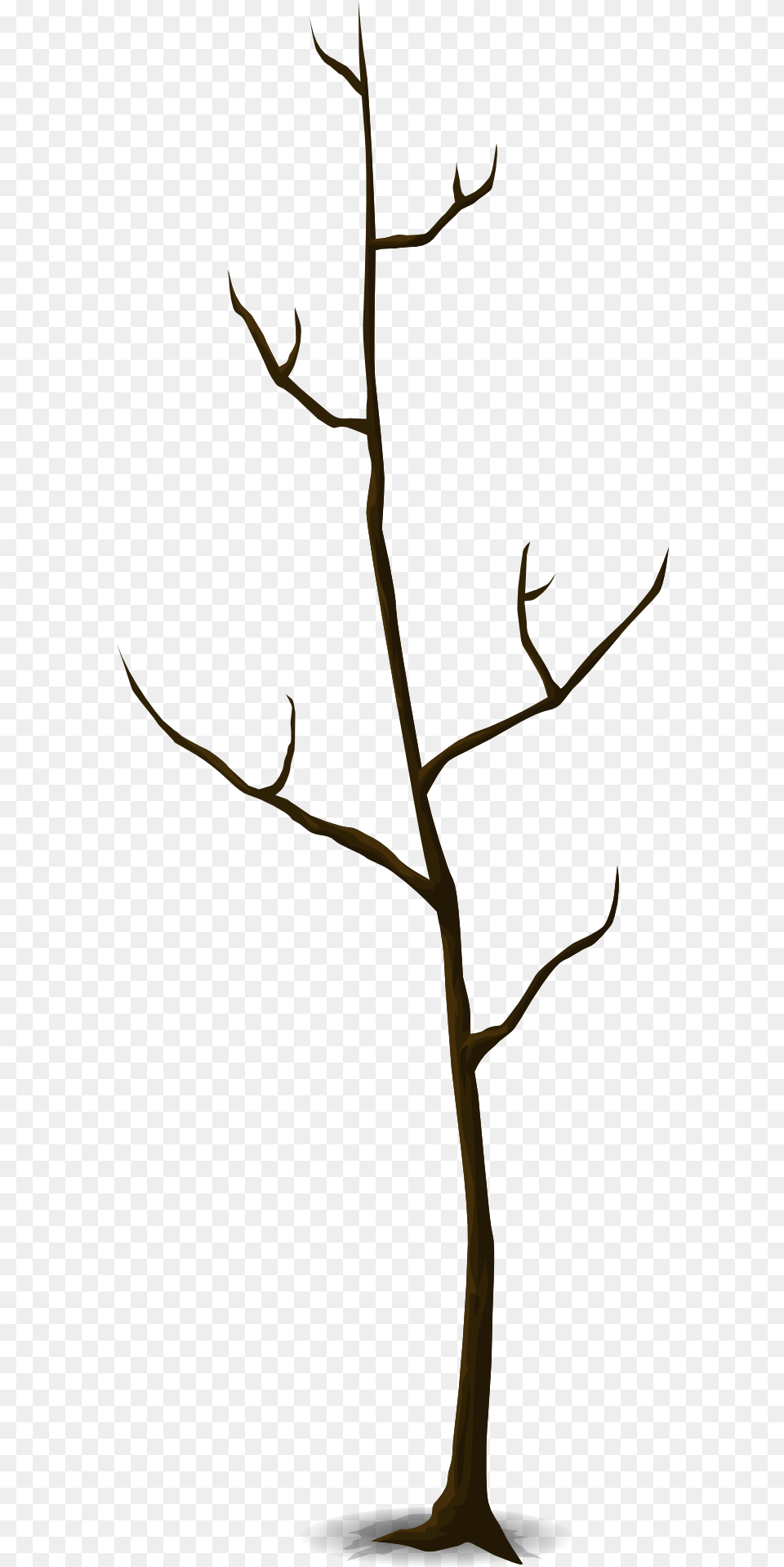 Twig Tree Svg, Plant, Wood, Person Png
