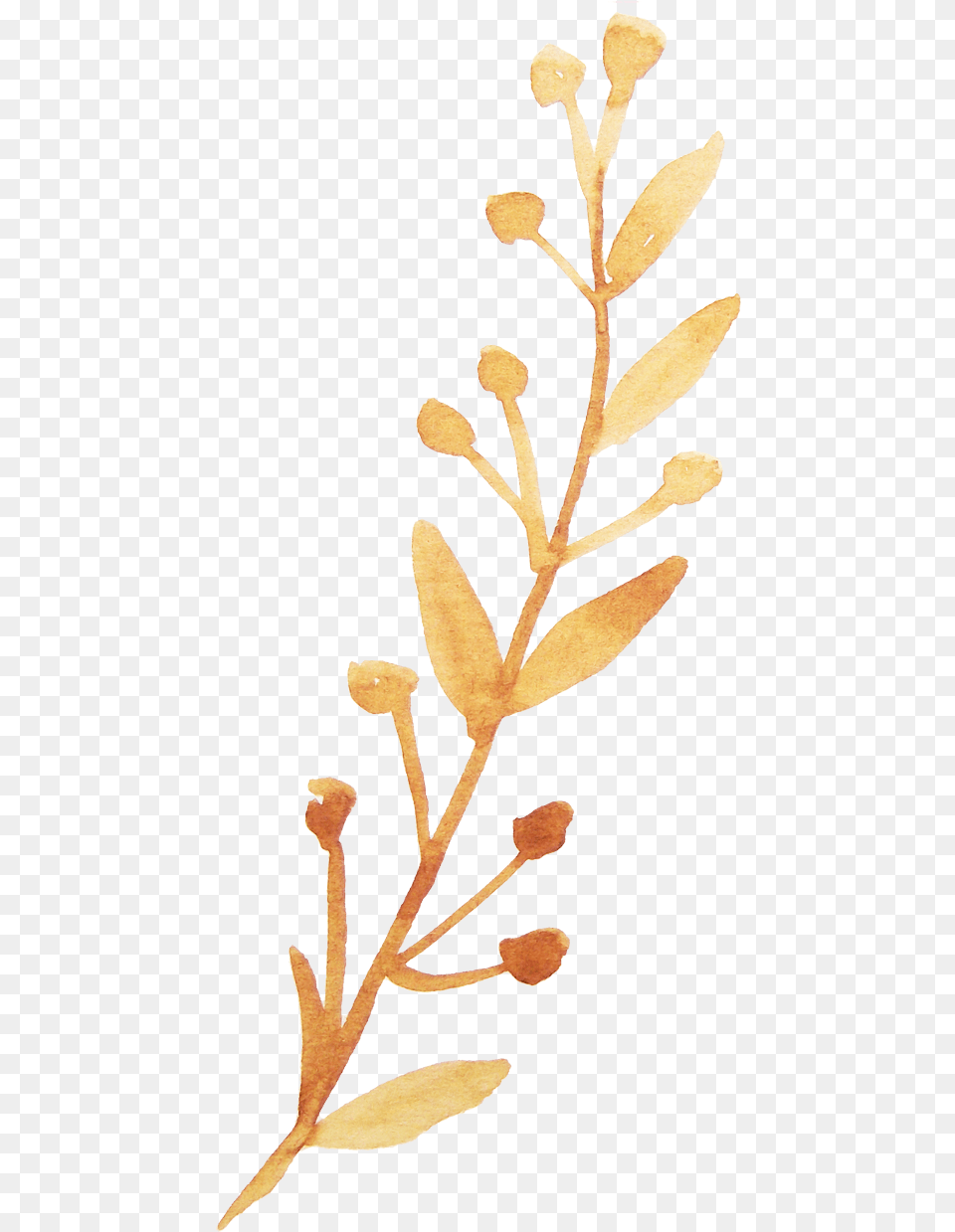 Twig Vector Watercolor Watercolor Branch With Flower, Leaf, Plant, Tree, Grass Png Image