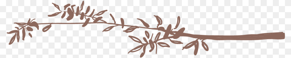 Twigs 2 01 Calligraphy, Flower, Plant, Leaf, Grass Png