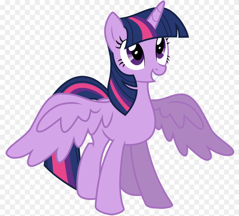 Twilight Sparkle Alicorn Princess Twilight Sparkle, Purple, Adult, Female, Person Free Png Download