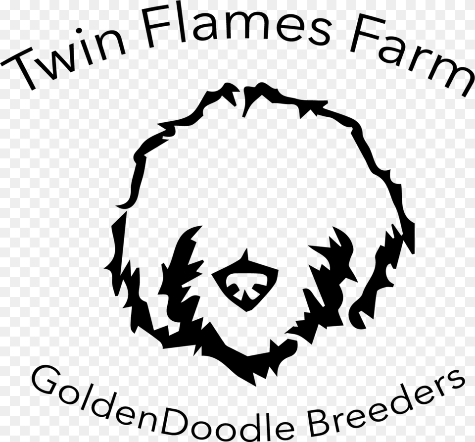 Twin Flames Labradoodle, Gray Png Image