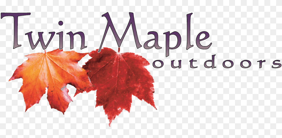 Twin Maple Outdoors Logo Good Big Autumn, Leaf, Plant, Tree, Maple Leaf Free Transparent Png